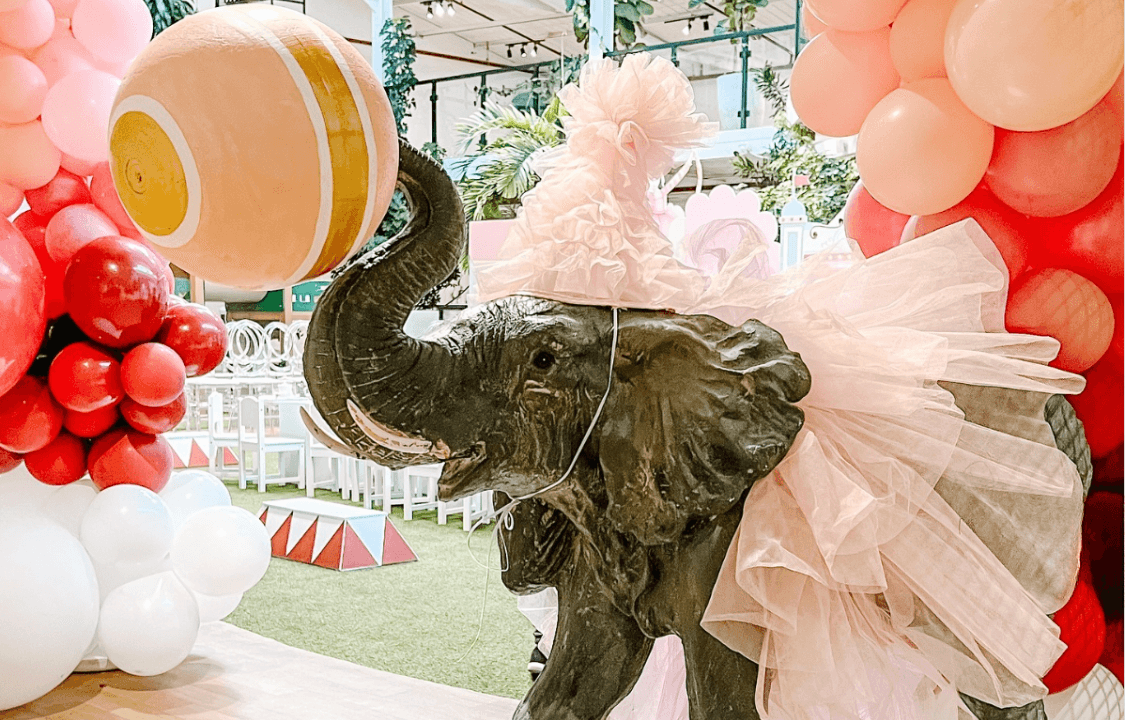 صورة حفلة السيرك