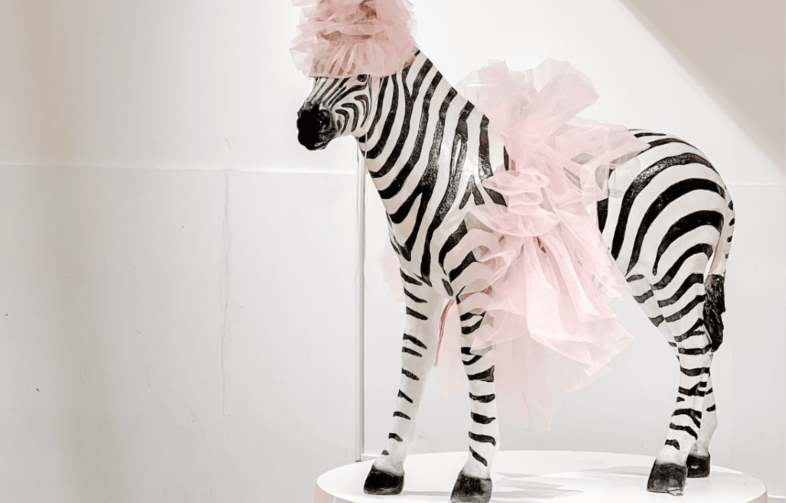 صورة حفلة السيرك