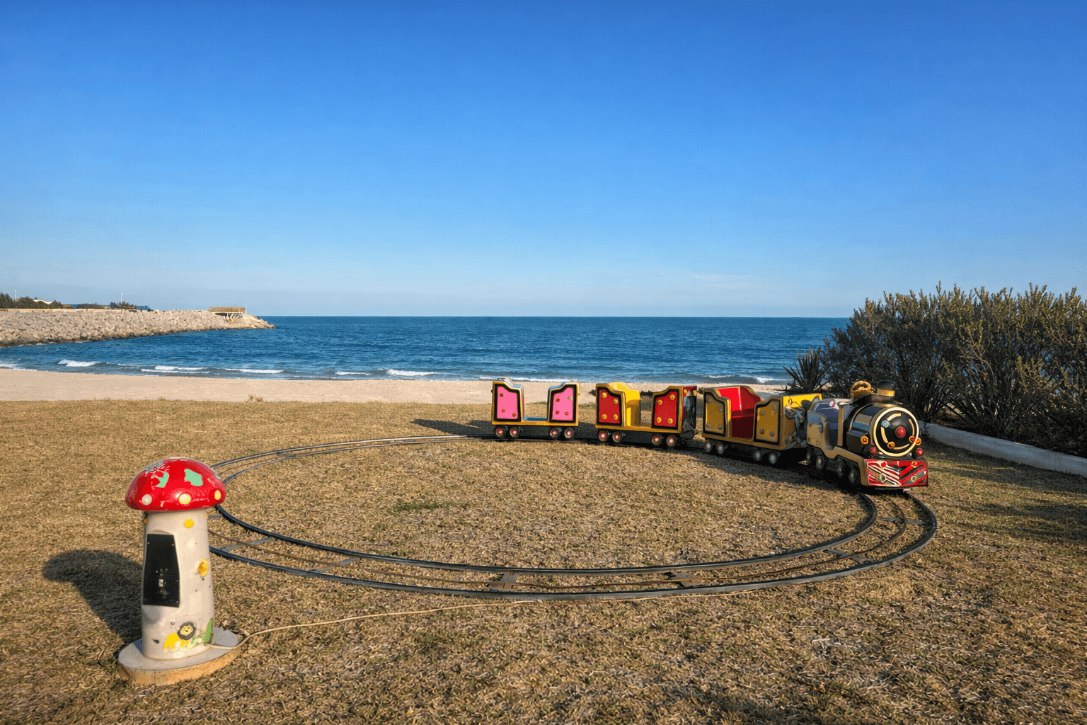 صورة القطار الكبير