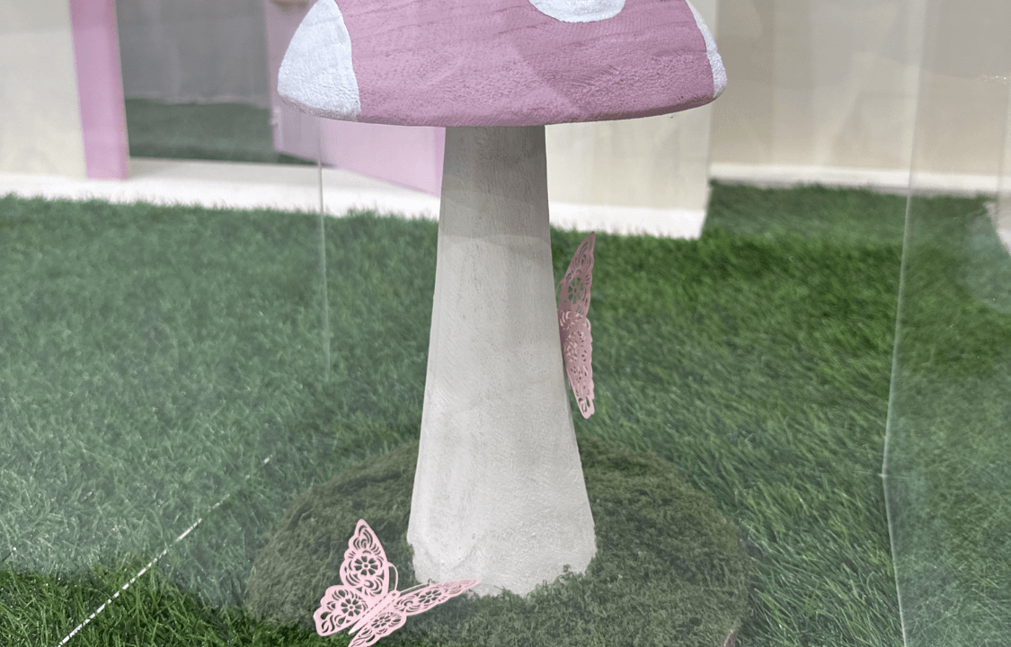 Image of Fairy Land Package