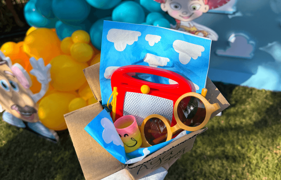 Image of Toy Story Package