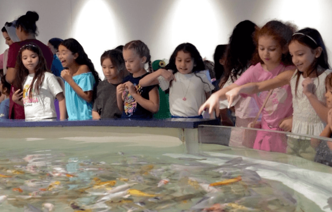 Image of Painting Party