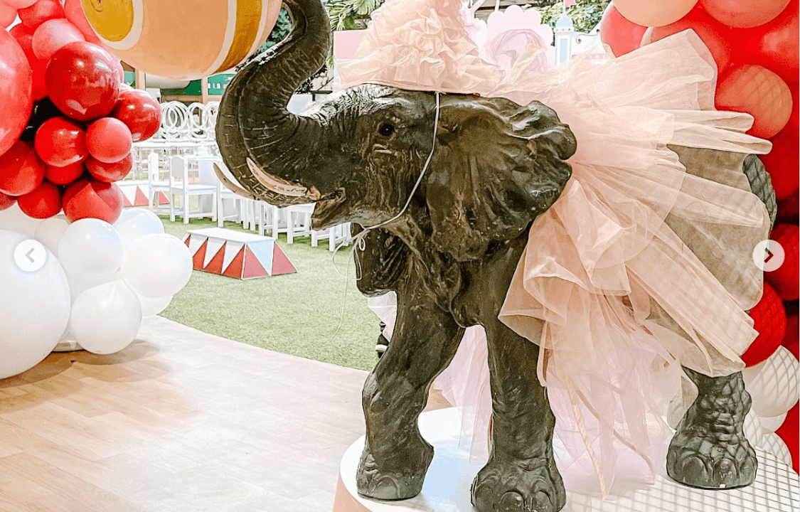 صورة حفلة السيرك