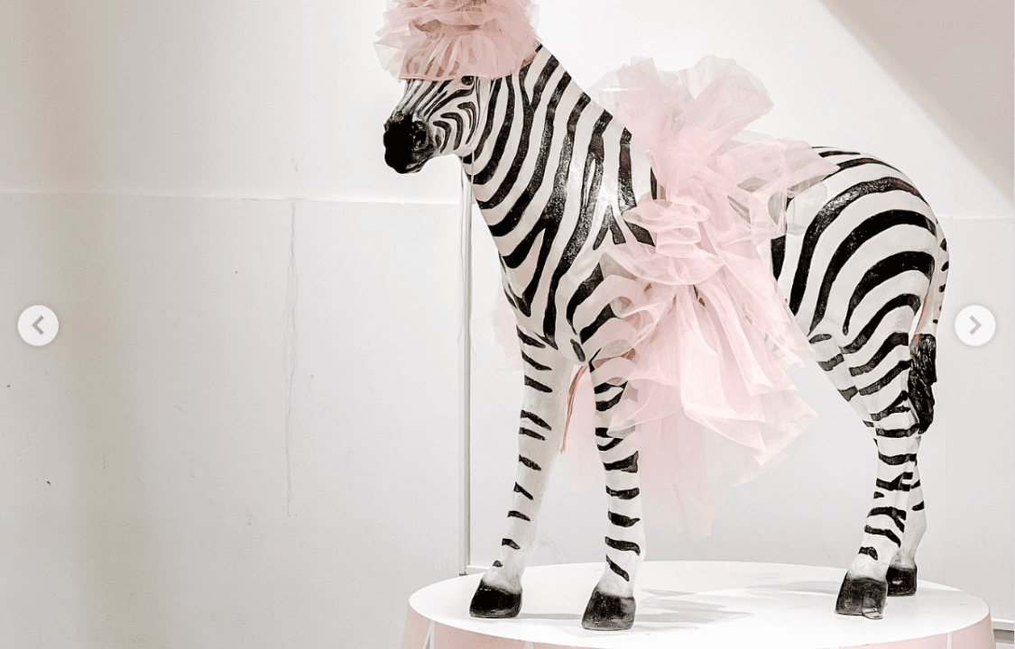 صورة حفلة السيرك