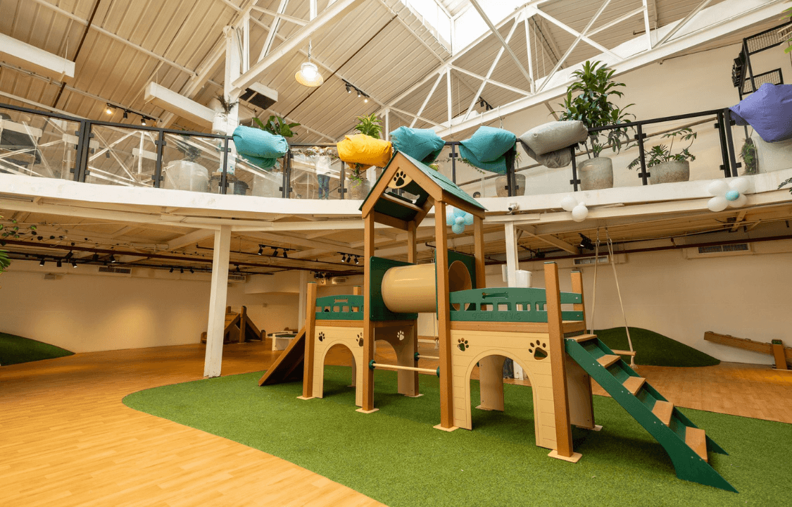 صورة باقة عيد الميلاد