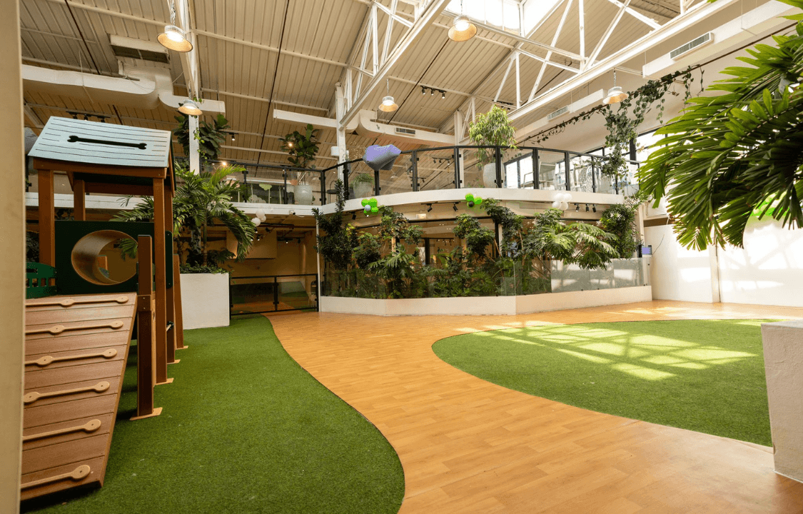 صورة باقة عيد الميلاد