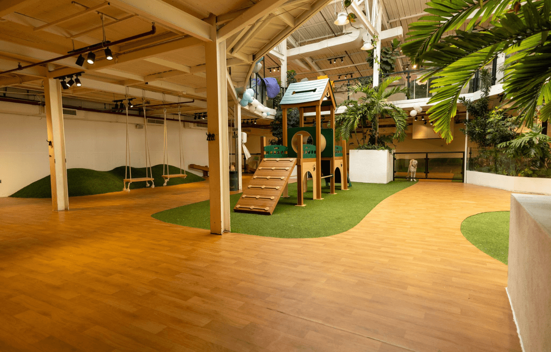 صورة باقة عيد الميلاد