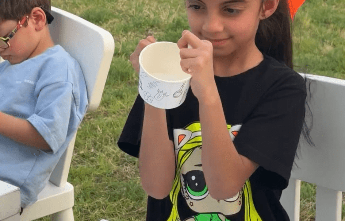 Image of Ice Cream Workshop